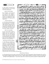 The Clear Quran (English with Arabic Text)