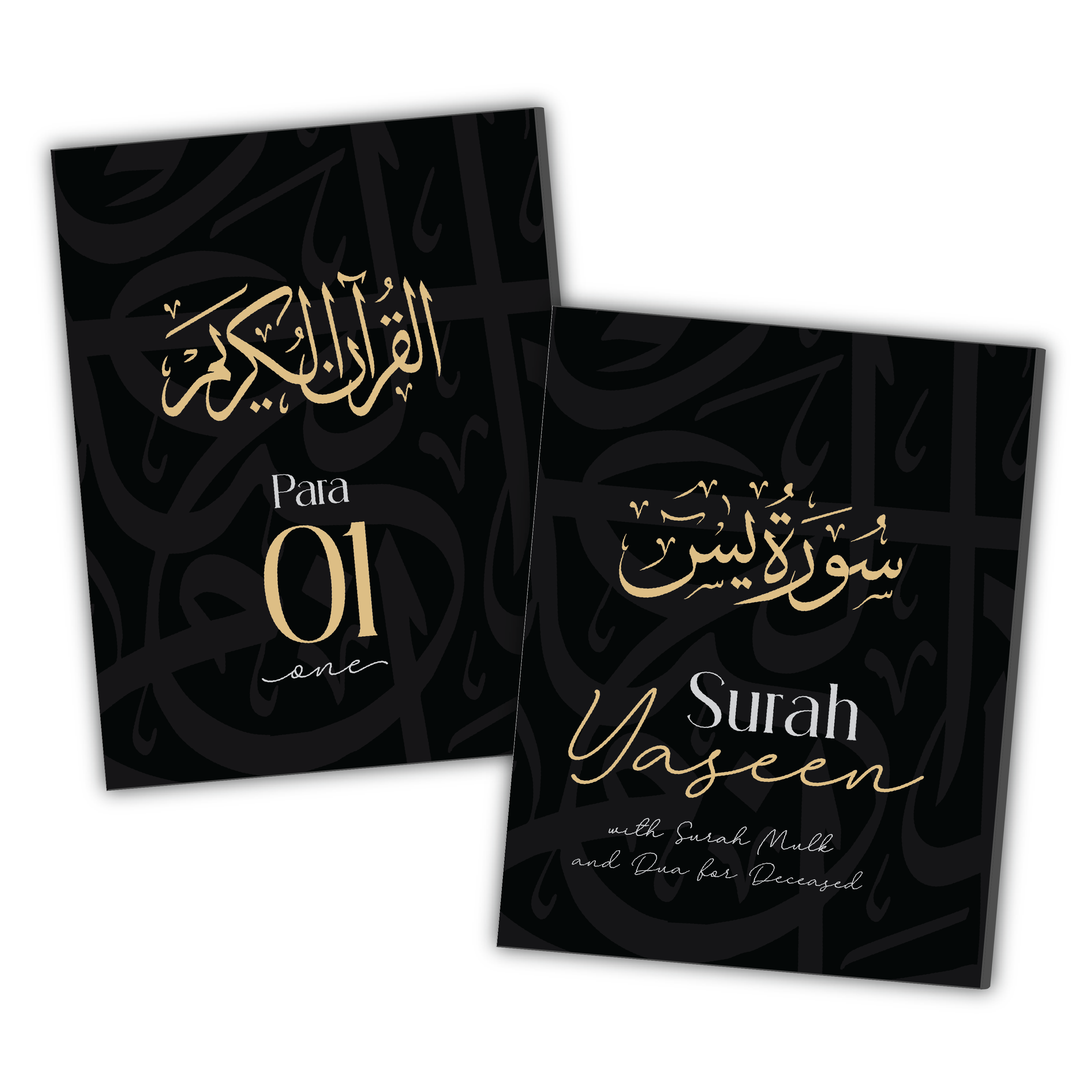 I-Light Blue Single Para Quran &amp; 41 Yaseens Set A5