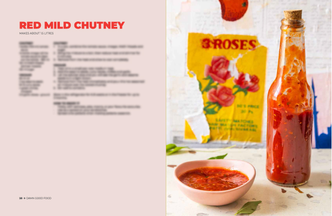 Damn Good Food by Fehmz – Cookbook