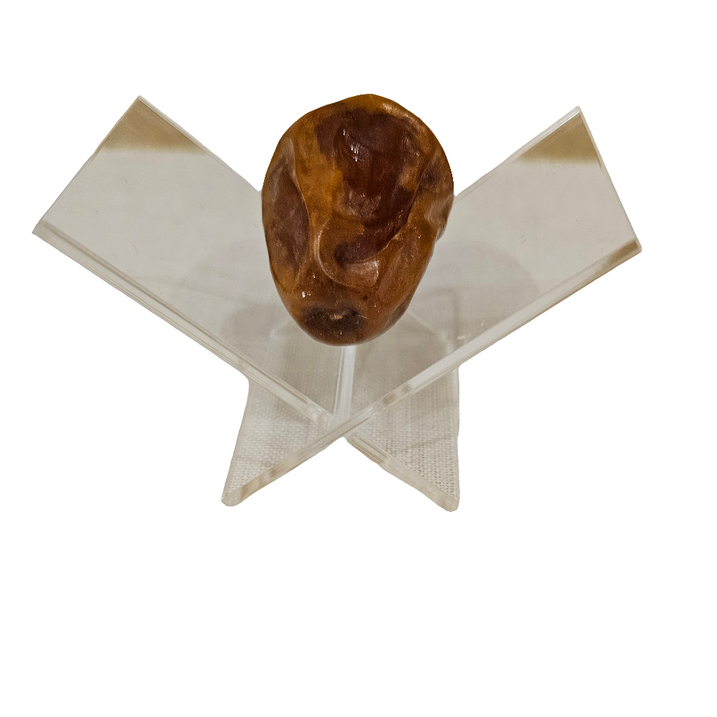Date Stand/ Kajoor Stand (for Individual Dates)