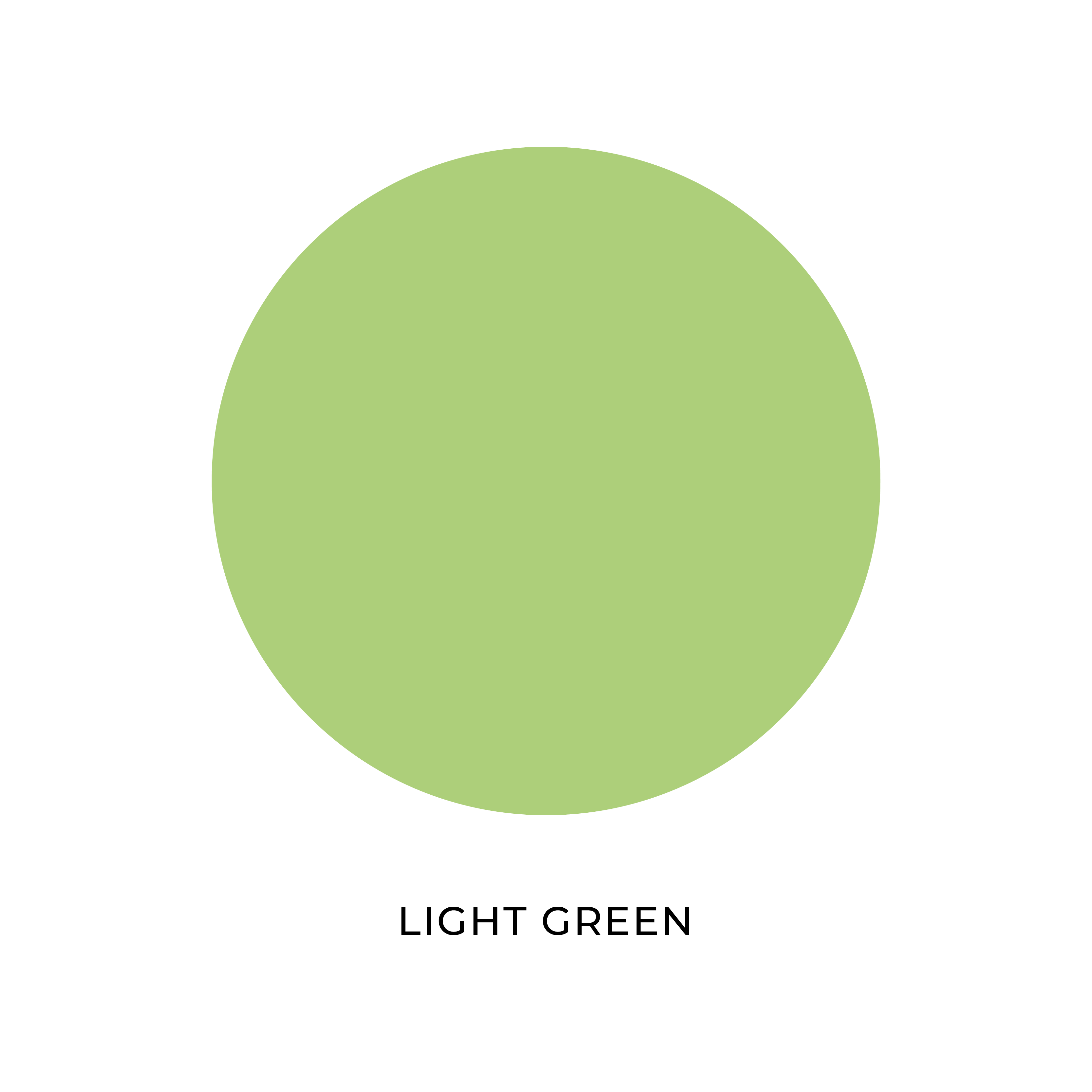 Light Green Ladies Burqa